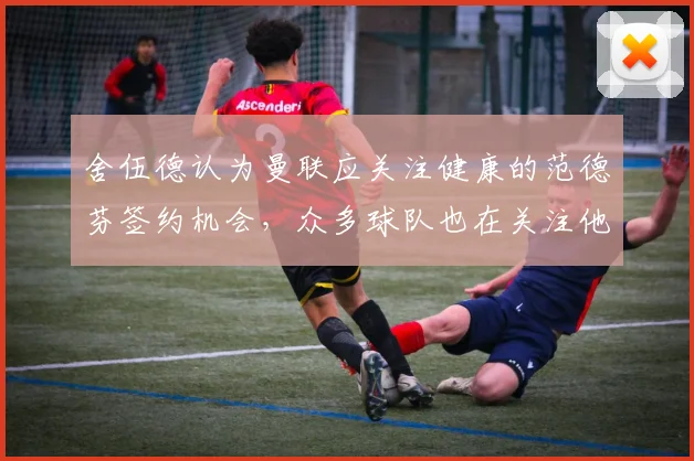 舍伍德认为曼联应关注健康的范德芬签约机会，众多球队也在关注他