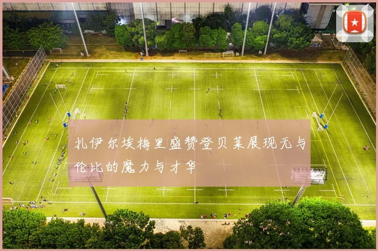 扎伊尔埃梅里盛赞登贝莱展现无与伦比的魔力与才华